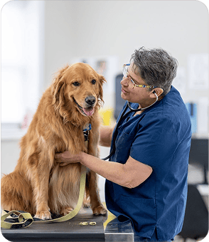 By Dr. George K. Mars