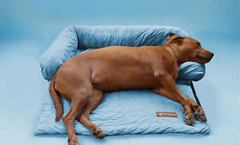 Dog Cooling Bed